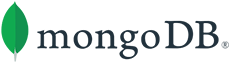 MongoDB Technology